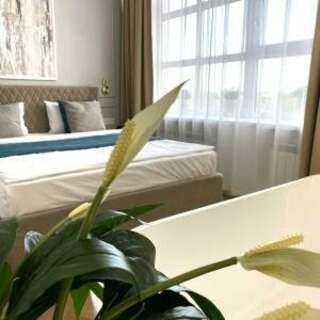 Гостиница Мистер Жулебин Москва Комфорт-2