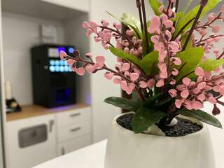 Гостиница Мистер Жулебин Москва-3